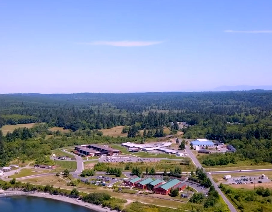 Aerial view of waterfront community buildings surrounded by forest